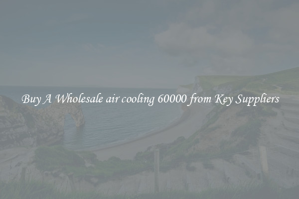 Buy A Wholesale air cooling 60000 from Key Suppliers