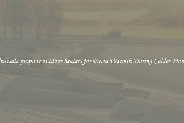 Wholesale propane outdoor heaters for Extra Warmth During Colder Months