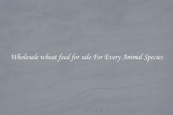 Wholesale wheat feed for sale For Every Animal Species