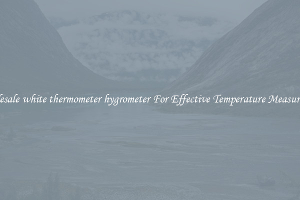 Wholesale white thermometer hygrometer For Effective Temperature Measurement