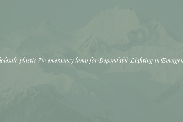 Wholesale plastic 7w emergency lamp for Dependable Lighting in Emergencies