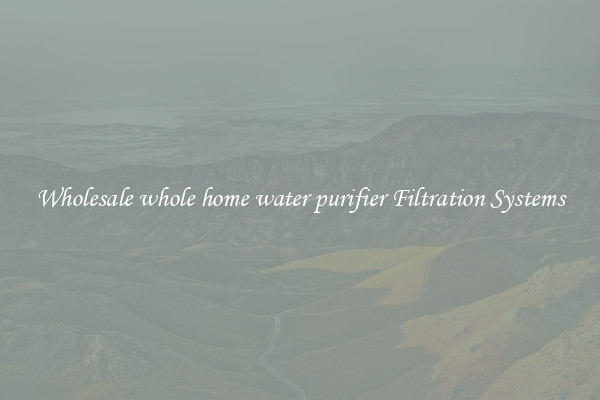 Wholesale whole home water purifier Filtration Systems