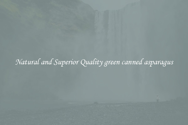 Natural and Superior Quality green canned asparagus