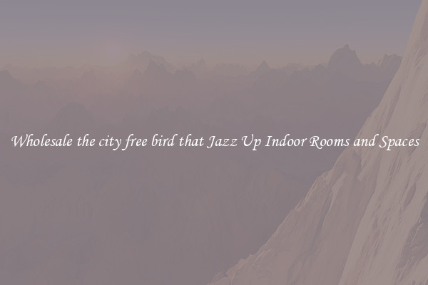 Wholesale the city free bird that Jazz Up Indoor Rooms and Spaces