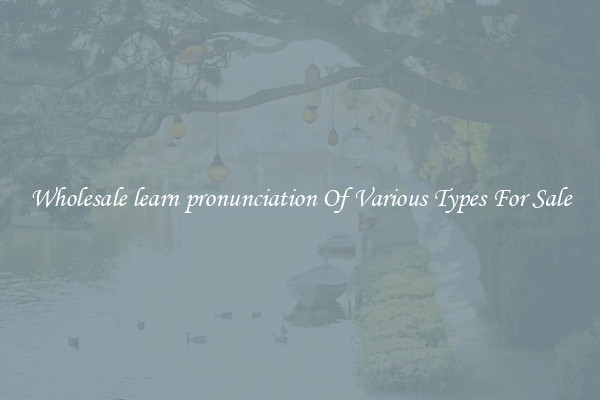 Wholesale learn pronunciation Of Various Types For Sale