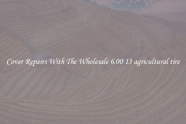  Cover Repairs With The Wholesale 6.00 13 agricultural tire 