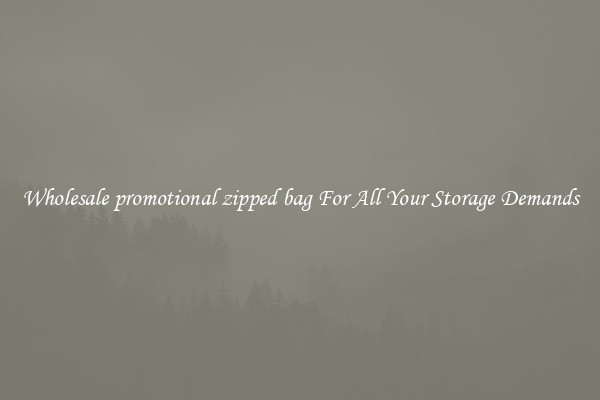 Wholesale promotional zipped bag For All Your Storage Demands
