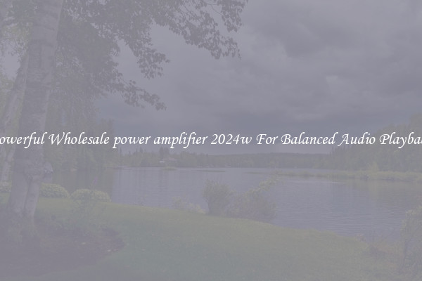 Powerful Wholesale power amplifier 2024w For Balanced Audio Playback