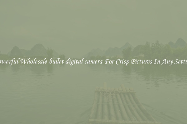 Powerful Wholesale bullet digital camera For Crisp Pictures In Any Setting