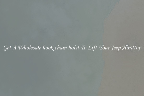 Get A Wholesale hook chain hoist To Lift Your Jeep Hardtop