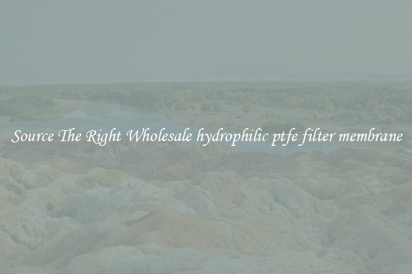 Source The Right Wholesale hydrophilic ptfe filter membrane
