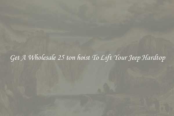 Get A Wholesale 25 ton hoist To Lift Your Jeep Hardtop