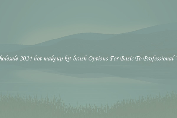 Wholesale 2024 hot makeup kit brush Options For Basic To Professional Use