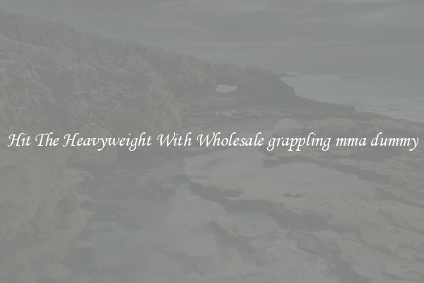 Hit The Heavyweight With Wholesale grappling mma dummy
