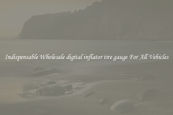 Indispensable Wholesale digital inflator tire gauge For All Vehicles