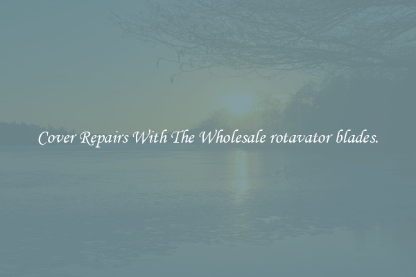  Cover Repairs With The Wholesale rotavator blades. 