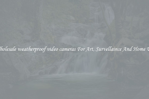 Wholesale weatherproof video cameras For Art, Survellaince And Home Use
