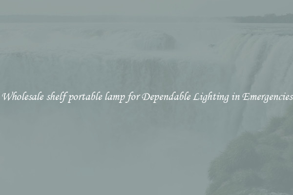 Wholesale shelf portable lamp for Dependable Lighting in Emergencies