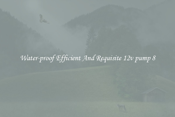 Water-proof Efficient And Requisite 12v pump 8
