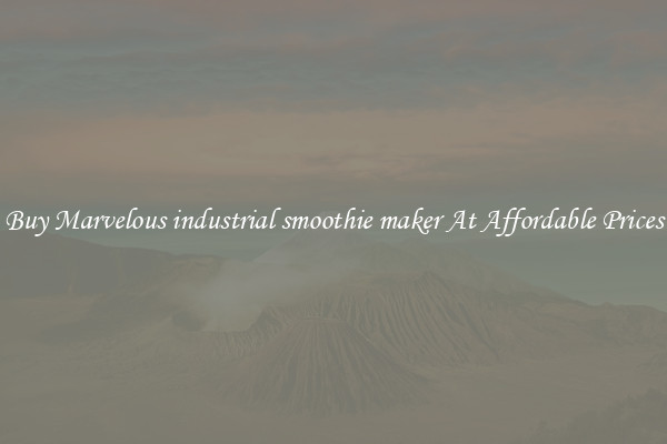 Buy Marvelous industrial smoothie maker At Affordable Prices
