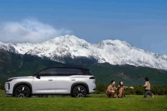 通过成立专业的用察团队